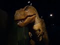 Tyrannosaurus Rex Tyrannosaurus Rex