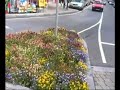 Wesport Ireland Town
