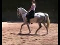 sonambulo