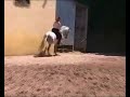 sonambulo