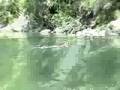 videos de Helena Ca. Double Backflip