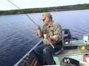 lake trout lake trout