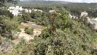 وقفة على اطلال المجيدل(الجزء الاول)-- بعدسة جواد واكد وقفة على اطلال المجيدل(الجزء الاول)-- بعدسة جواد واكد