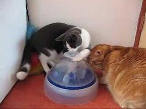 Imagem de Amostra do You Tube