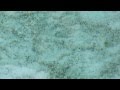 Просмотр видео