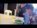 videos de photosynthesizer