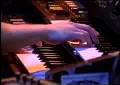 TUCKER live-electone