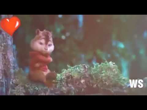 Heart Touching status video