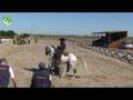 videos de bruno_silva_maneabilidade 2008