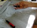 Alpha Innovations Letter Opener