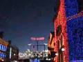 Turning on the Osborne Family Spectacle of Dancing Lights