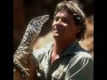 stephen robert irwin  steve irwin  tribute
