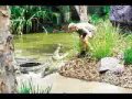 stephen robert irwin  steve irwin  tribute