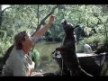 stephen robert irwin  steve irwin  tribute