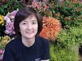 迷ったときは花に限る お洒落なアレンジメントが大人気