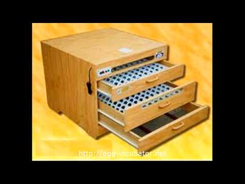 Egg Incubator - Homemade Egg Incubator with 95% incubation rate Part 0