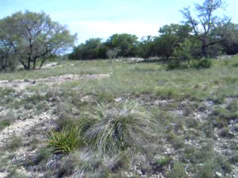 314.55 acres Johnson City, TX