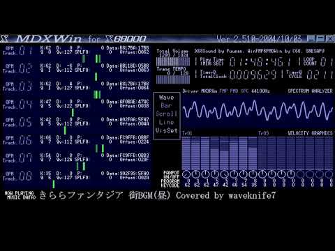 動画