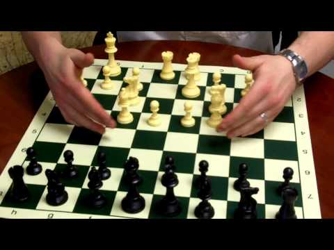 chess chess