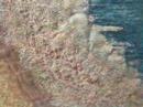 Joyce Becker Teaches You Landscape ...