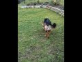 This is a video that the user has chosen on youtube