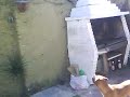 Zaira vs. Tina...y Hugui haciendo huevo jaja