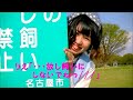 Click here to watch this video イェイ！イェイ！イェイ！で消費してみた