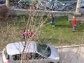 street fight in TT (kindermafia)
