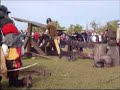Cannon and handgonnes