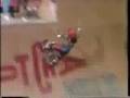 Gotcha Skate Christian Hosoi Lance Mountain