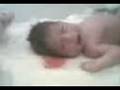 videos de nacimiento 1
