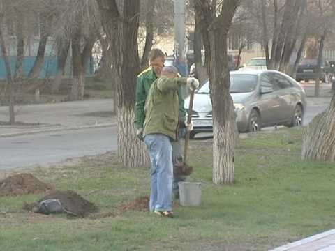 Просмотр видео