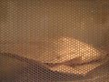 Mkz hace unas palomitas en el Microondas