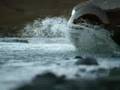 Grandioso comercial de Nissan 4*4