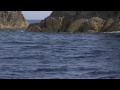 #048 奄美大島の海に夢の魚を求めて 清木場俊介の挑戦 奄美大島