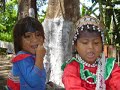 Amazon Ayahuascera singing a beautiful Icaro.  Heart Diseases Herbal Medicine