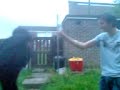 Gettin Hit With A Lightbulb