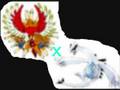 videos de ho-oh X lugia