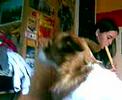 Rosca cantando los picapiedra