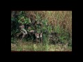 Tribus de l'Omo (wmv).wmv