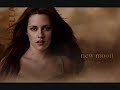 New Moon~The Score