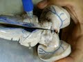 Neuroanatomia 6 Facimed Medicia