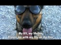 My K-9(www.mydogclub.net)