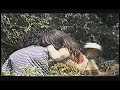 Cerveza Atlas - El Paletero