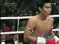 Little Man Knocks Out Giant Little Man Knocks Out Giant
