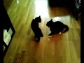 Tyson VS Sibbe
