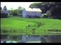 Horse film