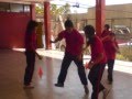 practica 2008