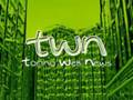 TWN 31 - Ed del 14/11/2008