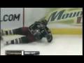 Ultimate st louis Blues hockey tribute